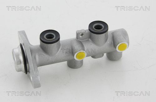 TRISCAN Peapiduri silinder 8130 18101