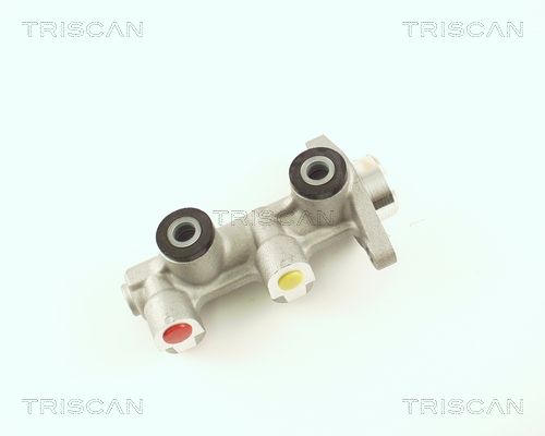 TRISCAN Peapiduri silinder 8130 24124