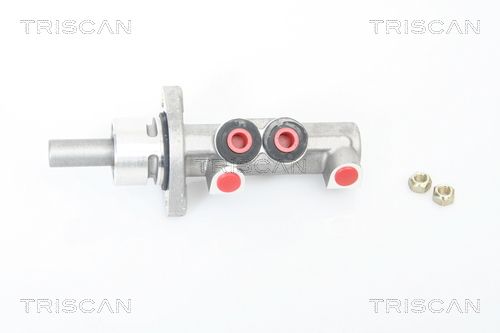 TRISCAN Peapiduri silinder 8130 25133