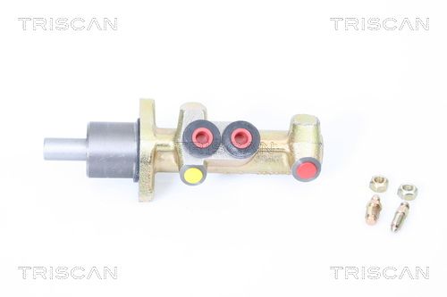 TRISCAN Peapiduri silinder 8130 25135