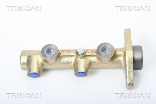 TRISCAN Peapiduri silinder 8130 27100