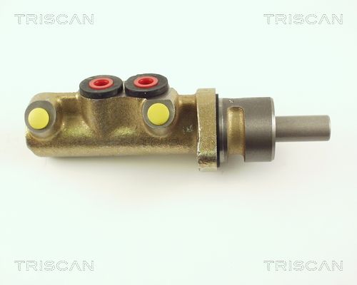 TRISCAN Peapiduri silinder 8130 28119