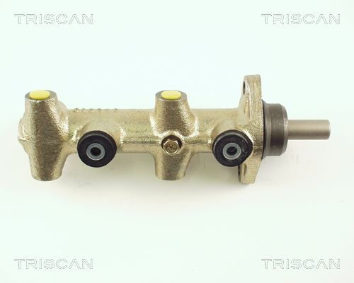 TRISCAN Peapiduri silinder 8130 29104