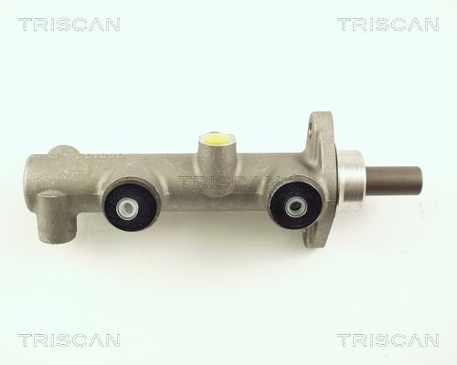 TRISCAN Главный тормозной цилиндр 8130 29105