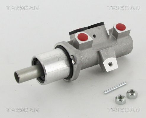 TRISCAN Peapiduri silinder 8130 29167