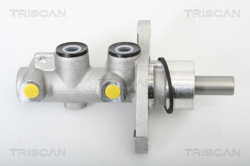 TRISCAN Peapiduri silinder 8130 43100