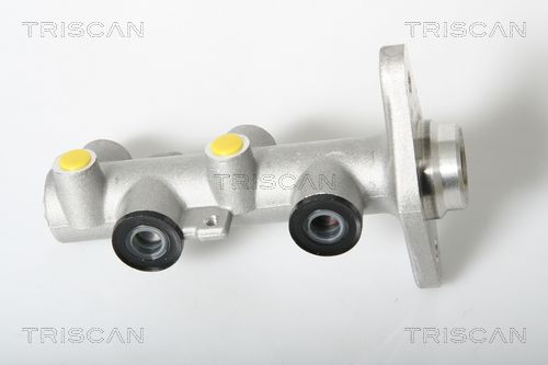 TRISCAN Peapiduri silinder 8130 43101