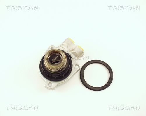 TRISCAN Silinder,Sidur 8130 65301