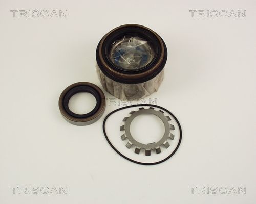 TRISCAN Комплект подшипника ступицы колеса 8530 10251