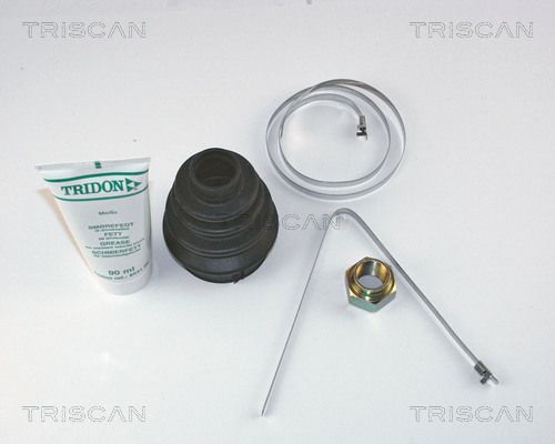 TRISCAN Комплект пылника, приводной вал 8540 15905