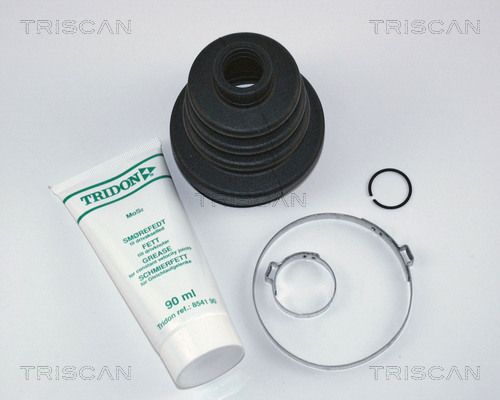 TRISCAN Комплект пылника, приводной вал 8540 16901