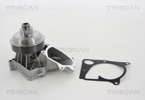 TRISCAN Veepump 8600 11036