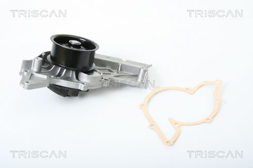 TRISCAN Veepump 8600 29039