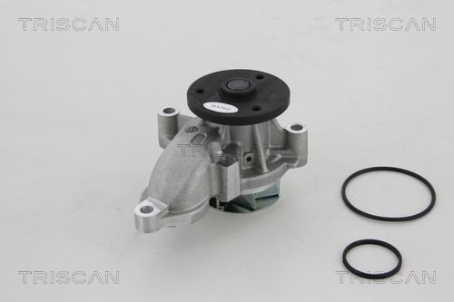 TRISCAN Veepump 8600 43013