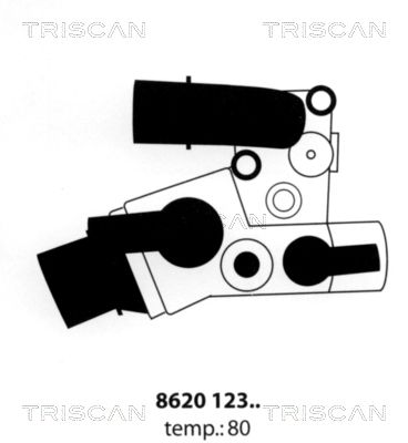 TRISCAN Термостат, охлаждающая жидкость 8620 12380