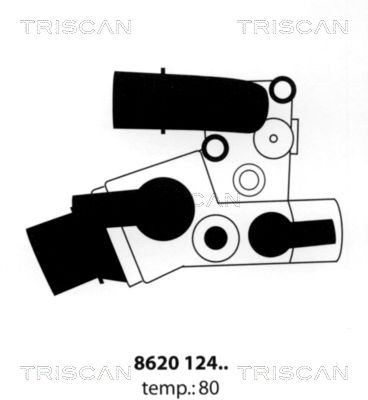 TRISCAN Термостат, охлаждающая жидкость 8620 12480