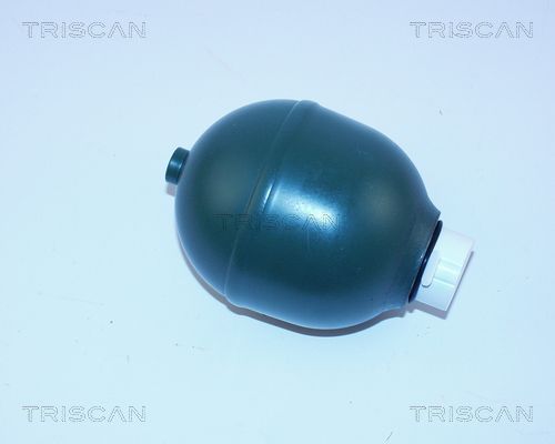 TRISCAN Гидроаккумулятор, подвеска / амортизация 8760 38119