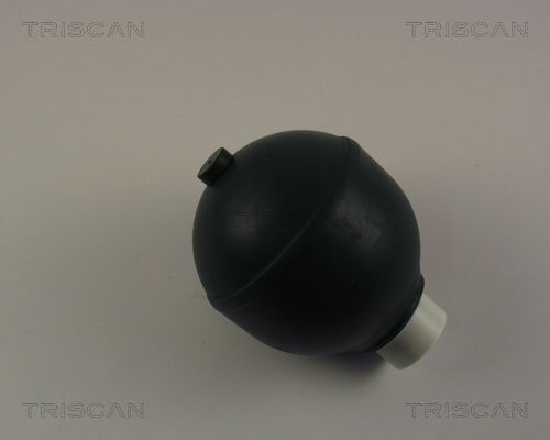TRISCAN Гидроаккумулятор, подвеска / амортизация 8760 38218