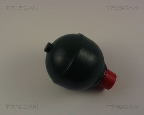 TRISCAN Гидроаккумулятор, подвеска / амортизация 8760 38220