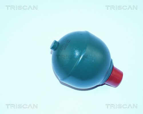 TRISCAN Гидроаккумулятор, подвеска / амортизация 8760 38221