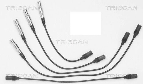 TRISCAN Süütesüsteemikomplekt 8860 4100