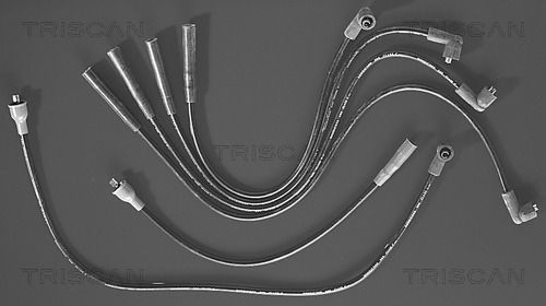 TRISCAN Süütesüsteemikomplekt 8860 4120