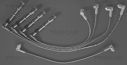 TRISCAN Süütesüsteemikomplekt 8860 4154