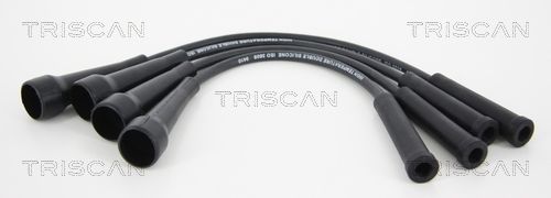 TRISCAN Süütesüsteemikomplekt 8860 7420