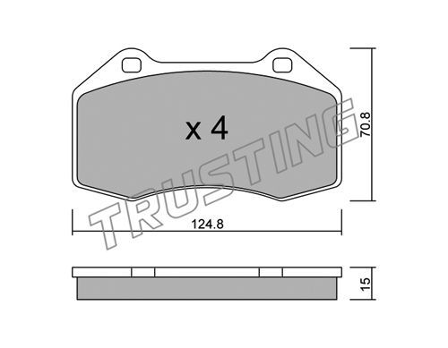 TRUSTING Комплект тормозных колодок, дисковый тормоз 667.0