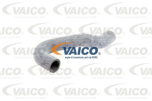 VAICO Шланг радиатора V10-0066