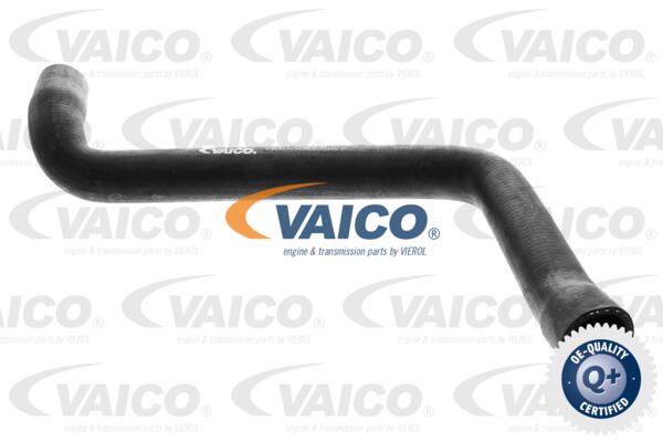 VAICO Шланг радиатора V10-0073