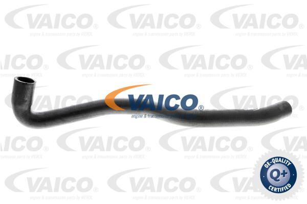 VAICO Шланг, теплообменник - отопление V10-0363