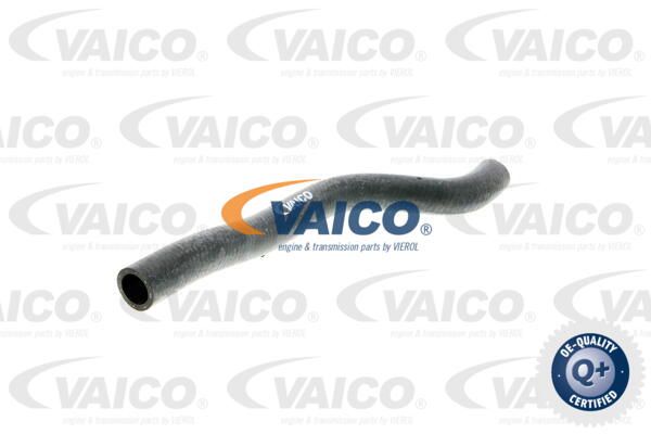 VAICO Шланг, теплообменник - отопление V10-0388