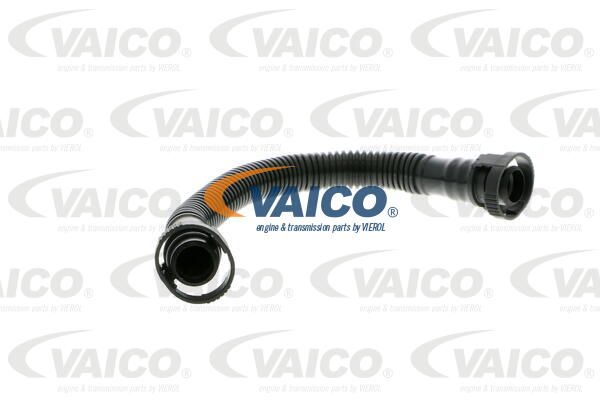 VAICO Шланг, воздухоотвод крышки головки цилиндра V10-0775