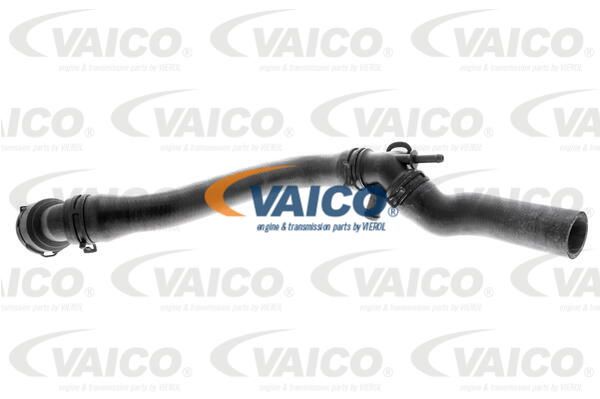 VAICO Шланг радиатора V10-1000