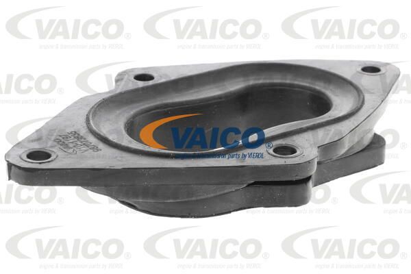 VAICO Flants,karburaator V10-1197