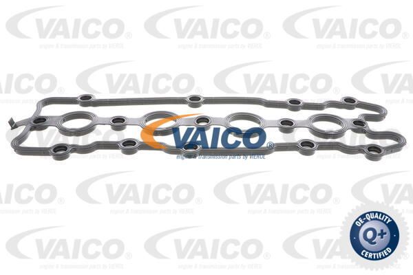 VAICO Прокладка, крышка головки цилиндра V10-2561