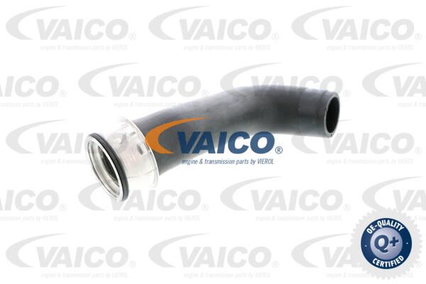 VAICO Laadimisõhu voolik V10-2703