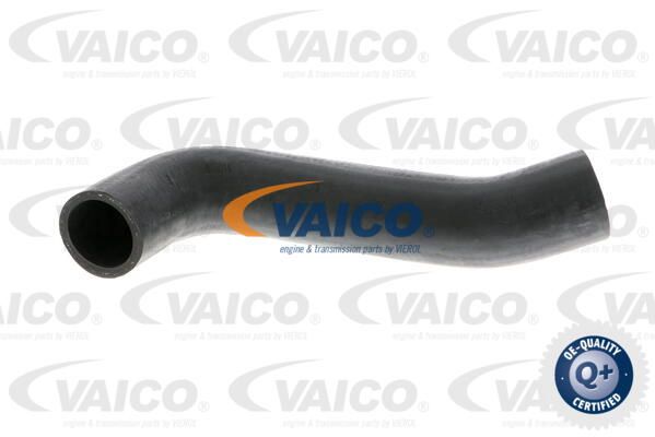 VAICO Laadimisõhu voolik V10-2844