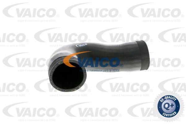 VAICO Laadimisõhu voolik V10-2845