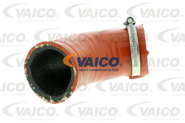 VAICO Laadimisõhu voolik V10-2847