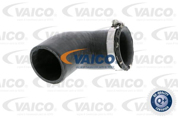 VAICO Трубка нагнетаемого воздуха V10-2881