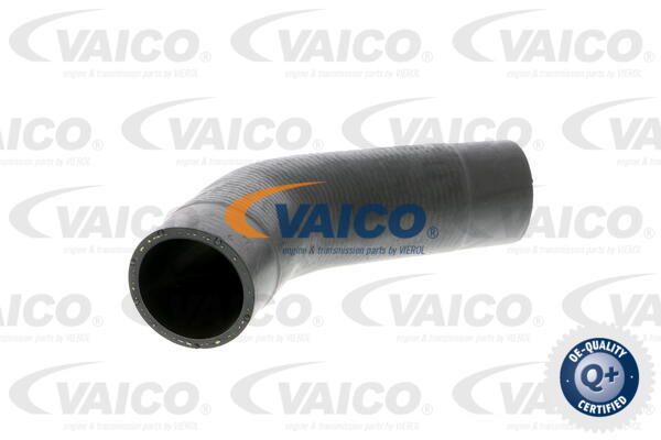 VAICO Laadimisõhu voolik V10-2888