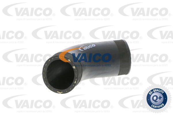 VAICO Laadimisõhu voolik V10-2892