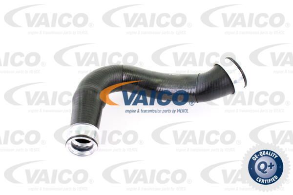VAICO Laadimisõhu voolik V10-2903