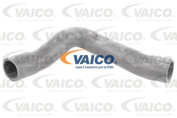 VAICO Laadimisõhu voolik V10-2909
