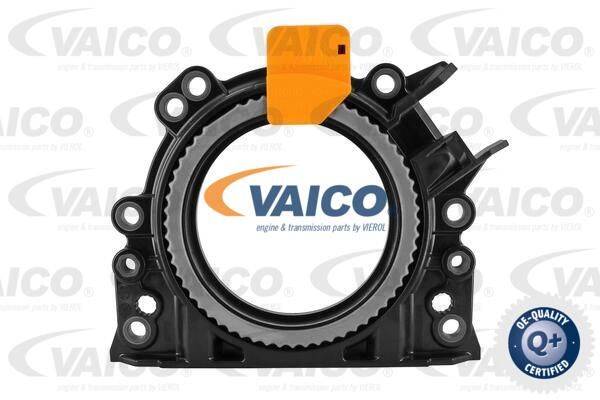 VAICO Уплотняющее кольцо, коленчатый вал V10-3683