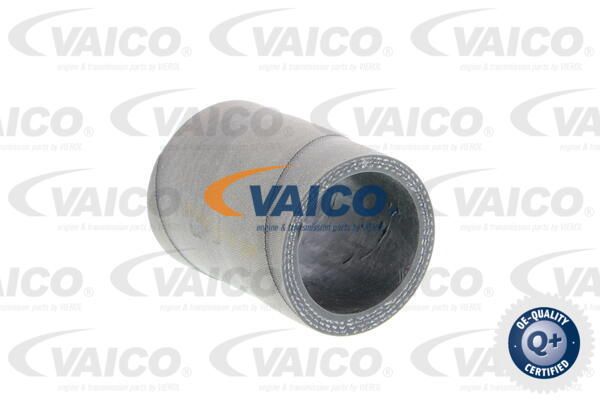 VAICO Laadimisõhu voolik V10-3759
