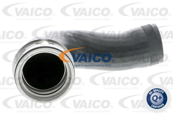 VAICO Трубка нагнетаемого воздуха V10-3768