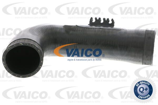 VAICO Трубка нагнетаемого воздуха V10-3771